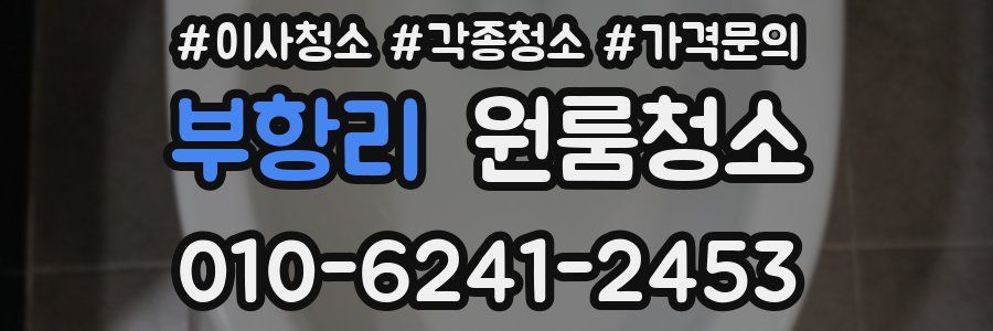 부항리 이사청소