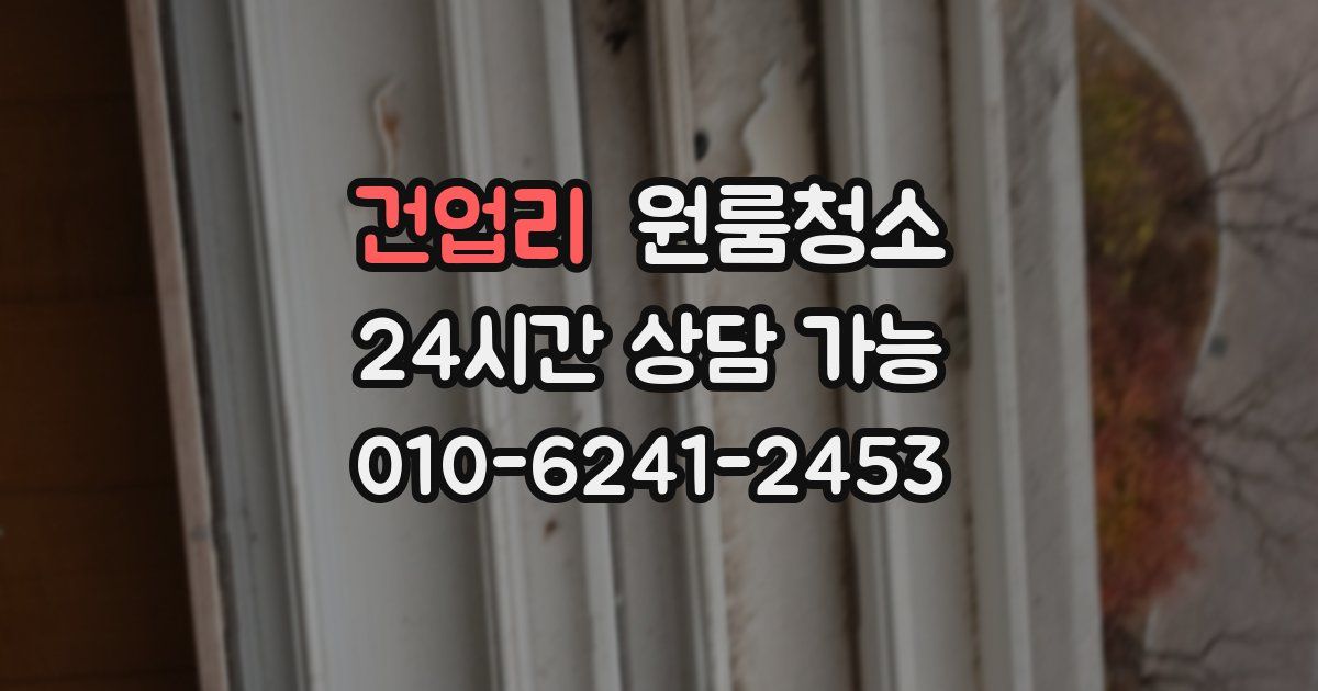 건업리 입주청소