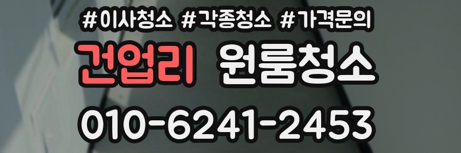 건업리 이사청소