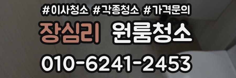 장심리 이사청소