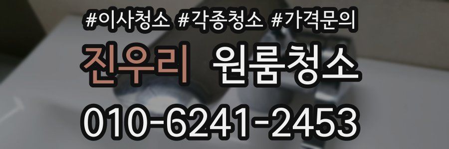 진우리 이사청소