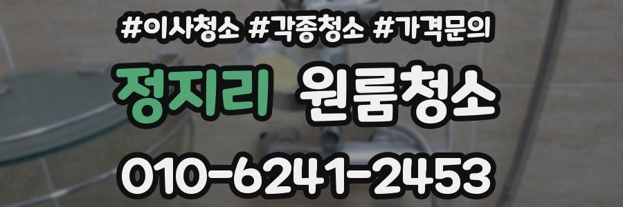 정지리 이사청소