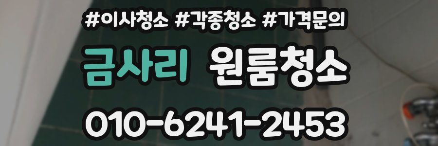 금사리 이사청소