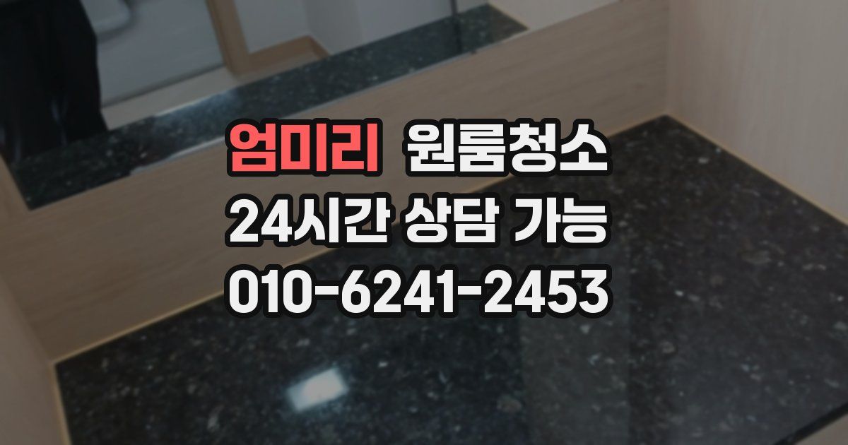 엄미리 입주청소