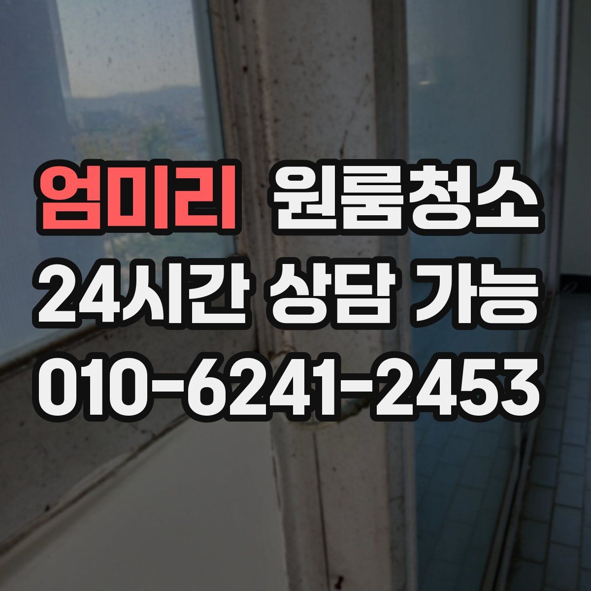 엄미리 원룸청소