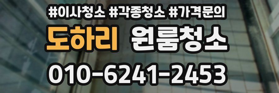 도하리 이사청소