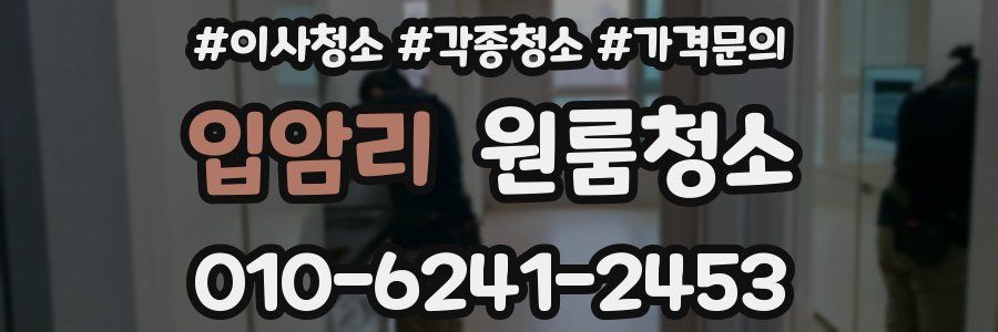 입암리 이사청소