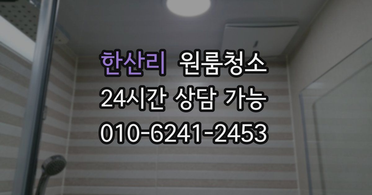 한산리 입주청소