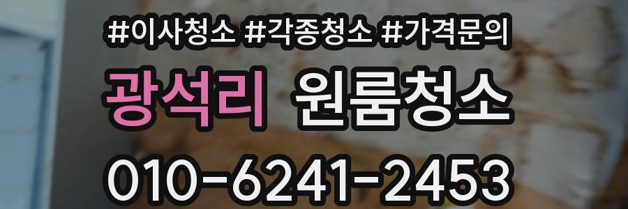 광석리 이사청소