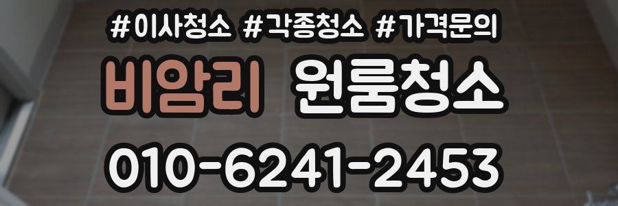 비암리 이사청소