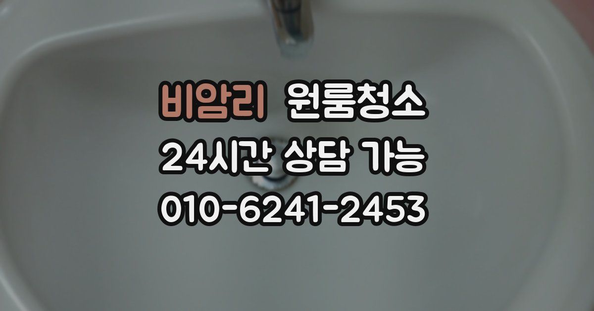 비암리 입주청소