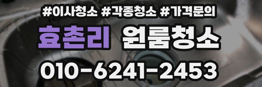 효촌리 이사청소