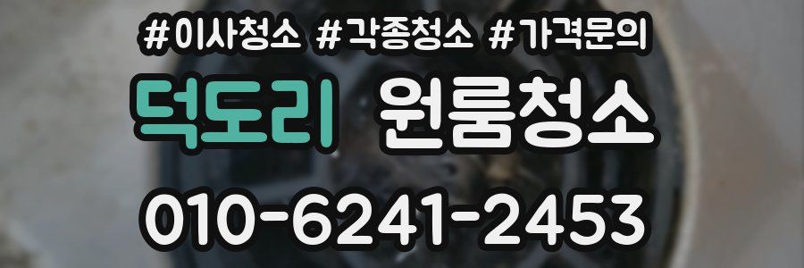 덕도리 이사청소