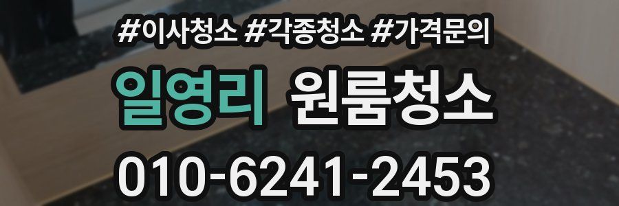 일영리 이사청소