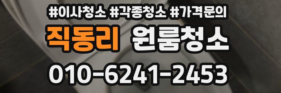 직동리 이사청소