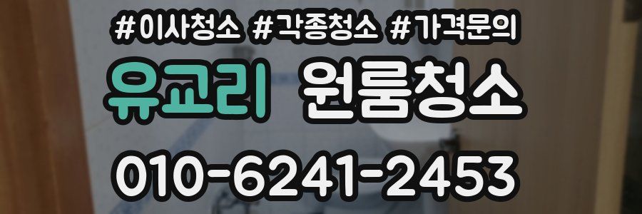 유교리 이사청소