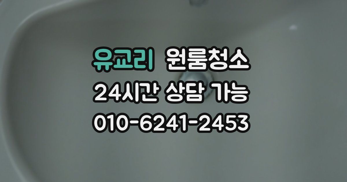 유교리 입주청소