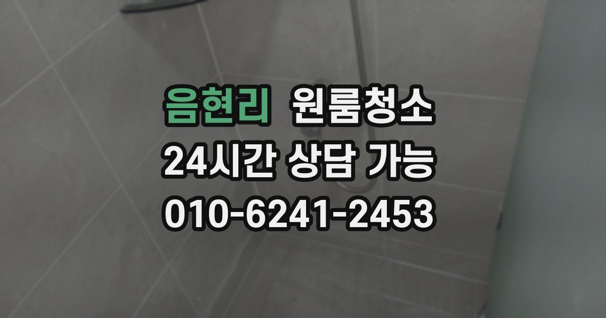 음현리 입주청소