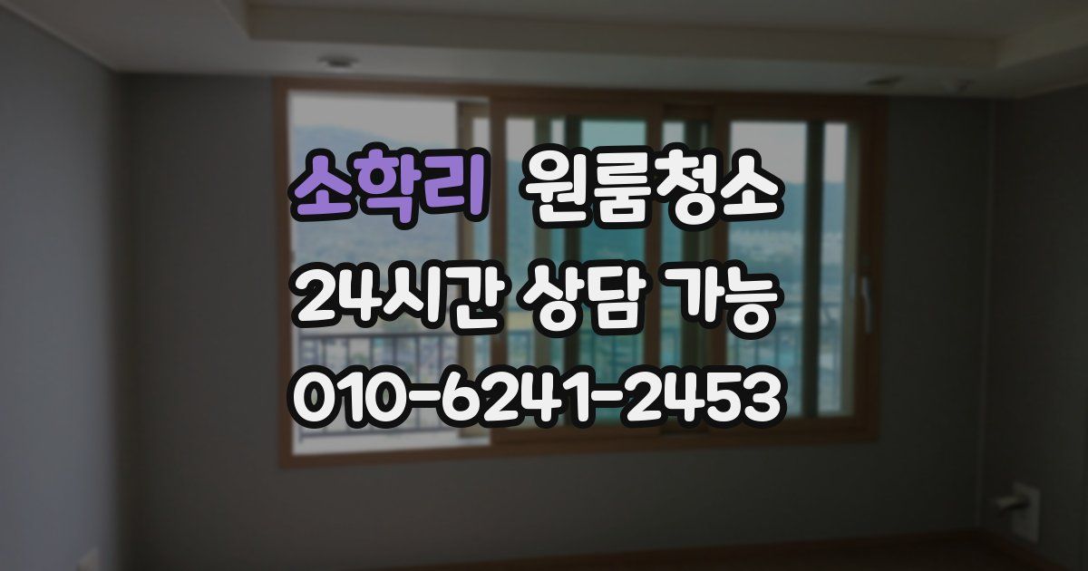 소학리 입주청소