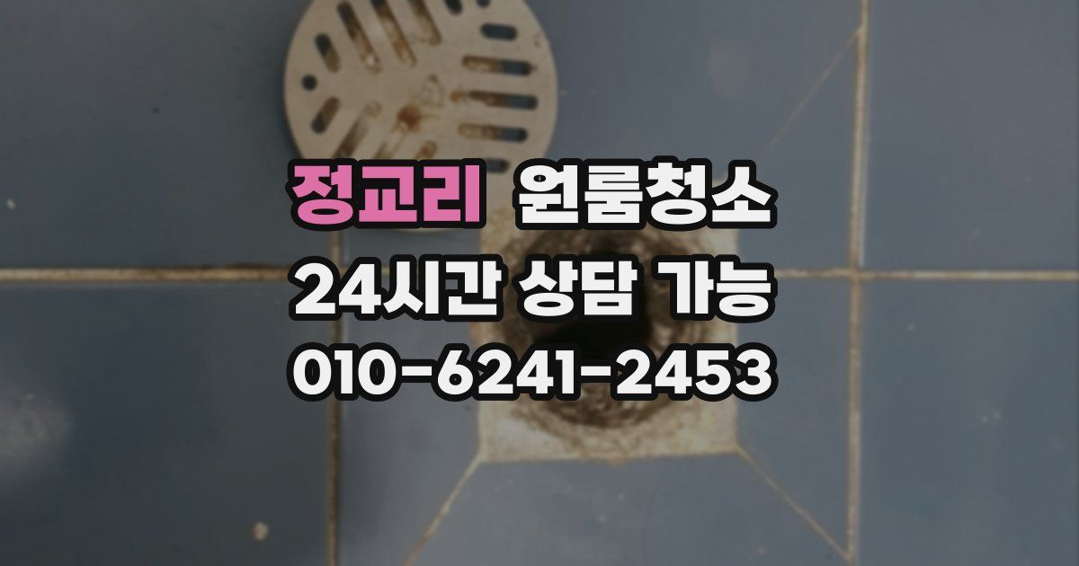 정교리 입주청소