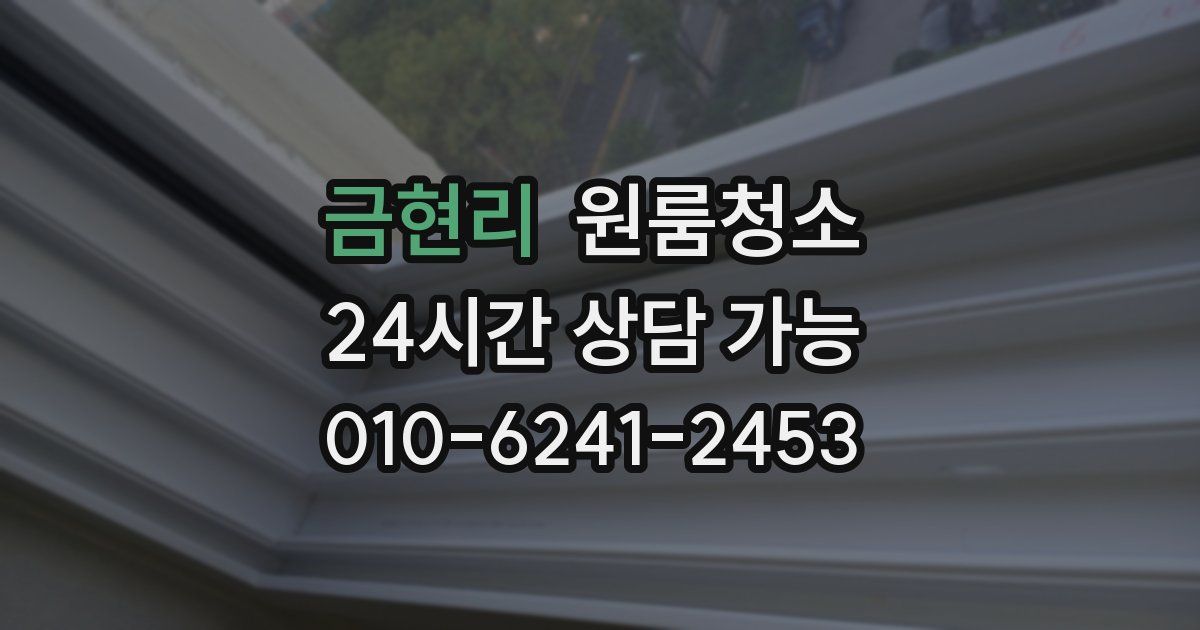 금현리 입주청소