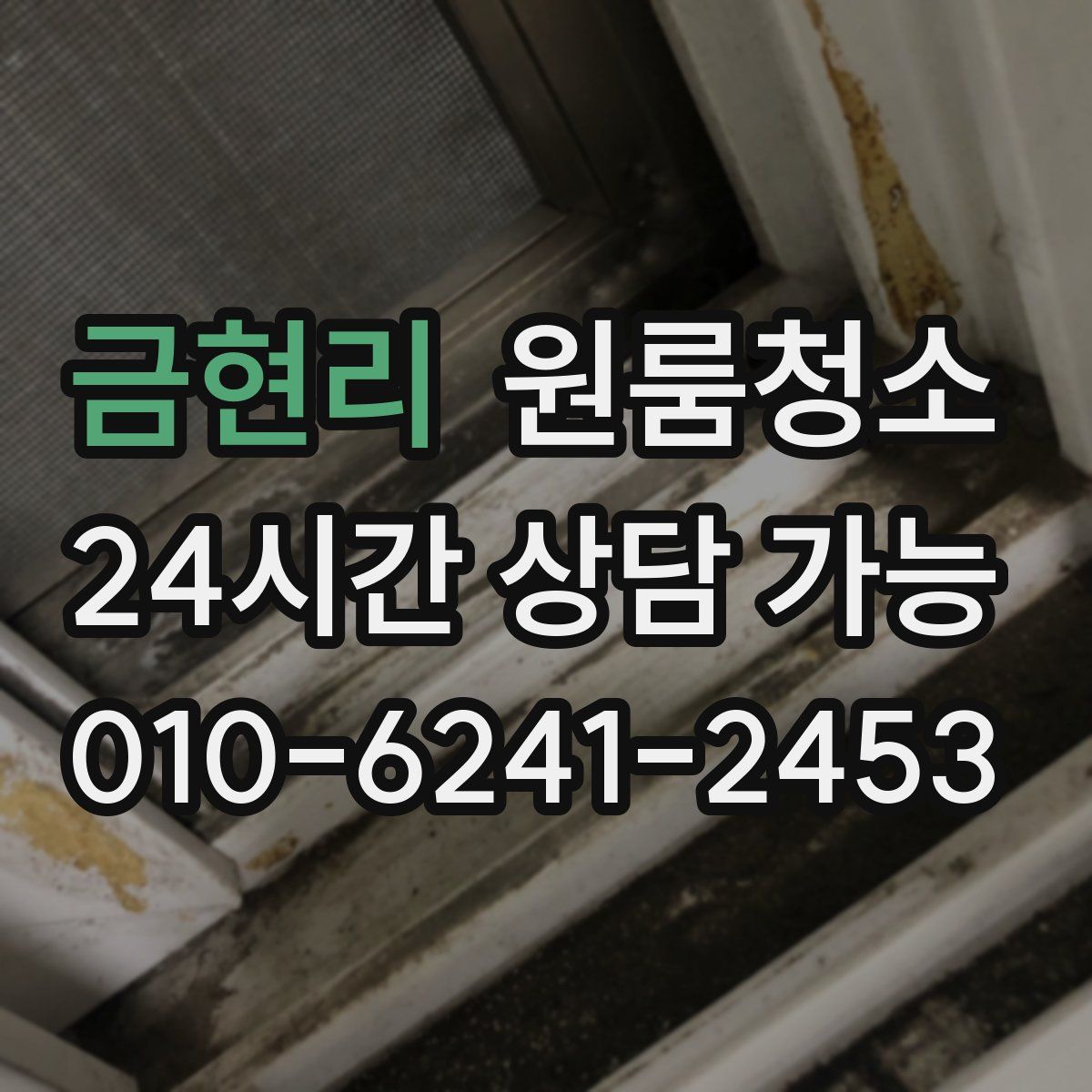 금현리 원룸청소