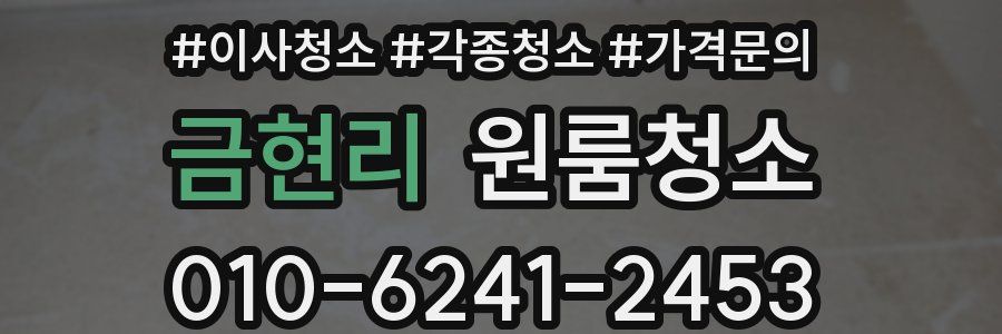 금현리 이사청소