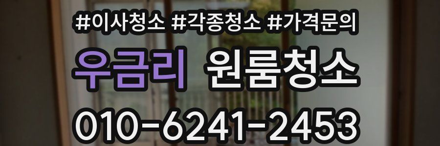 우금리 이사청소