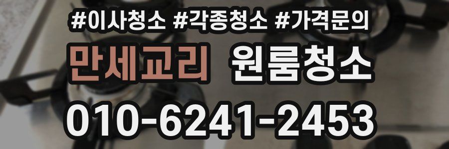 만세교리 이사청소