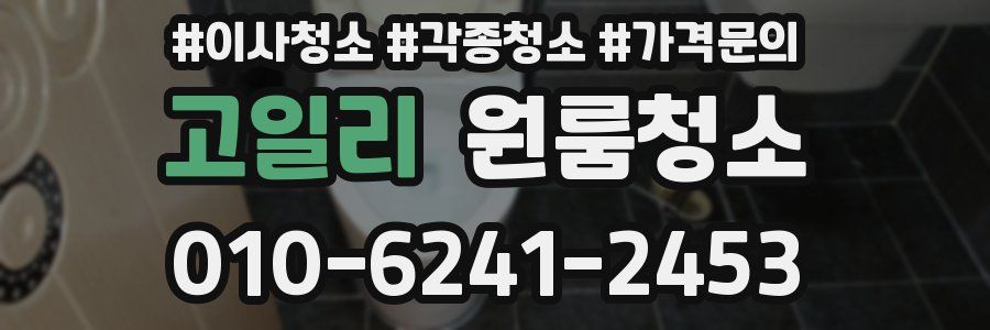 고일리 이사청소