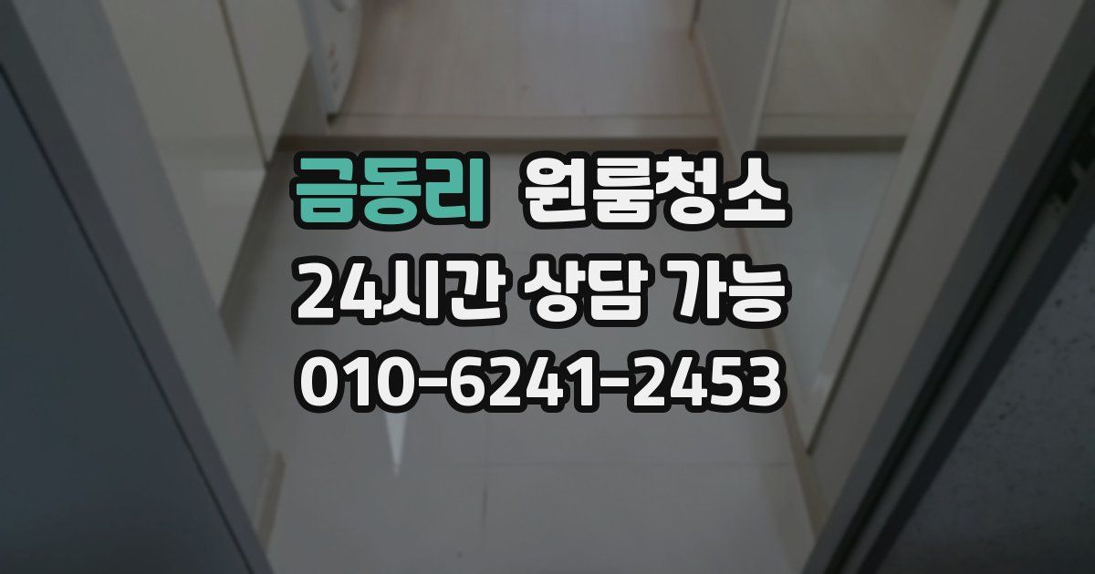 금동리 입주청소