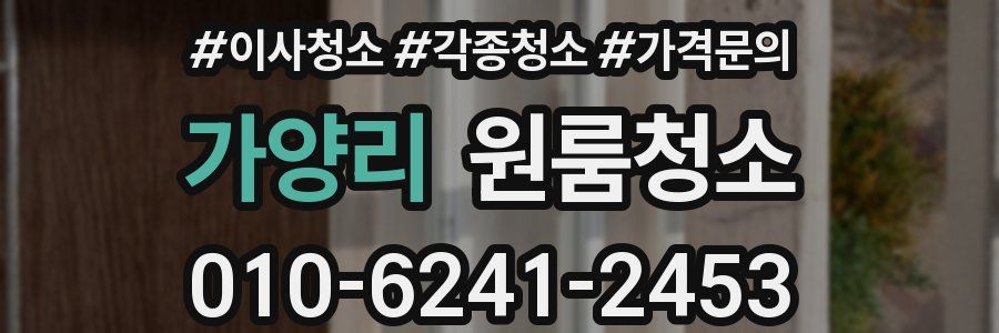 가양리 이사청소