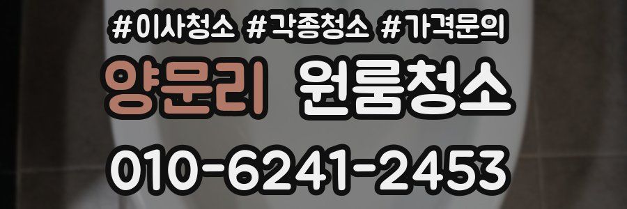 양문리 이사청소