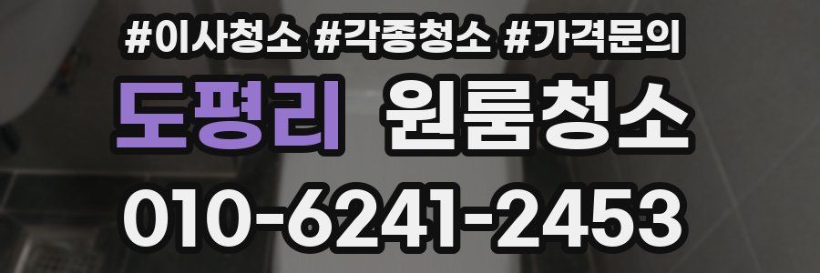 도평리 이사청소