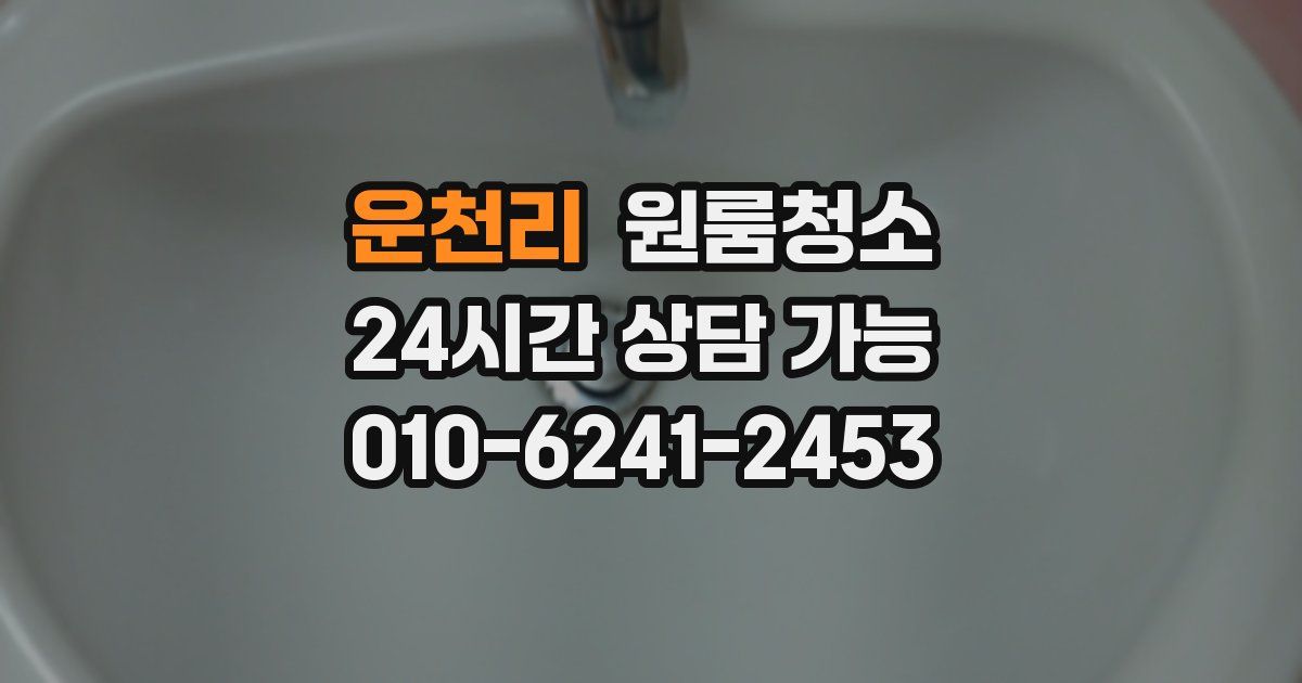 운천리 입주청소