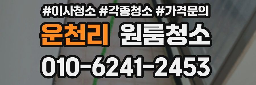 운천리 이사청소