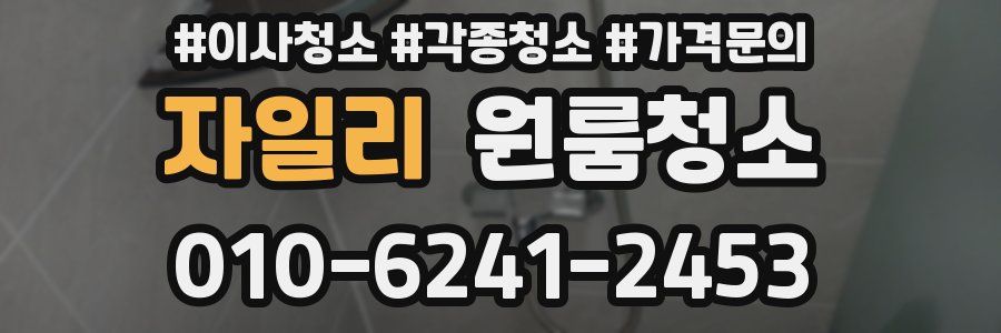 자일리 이사청소