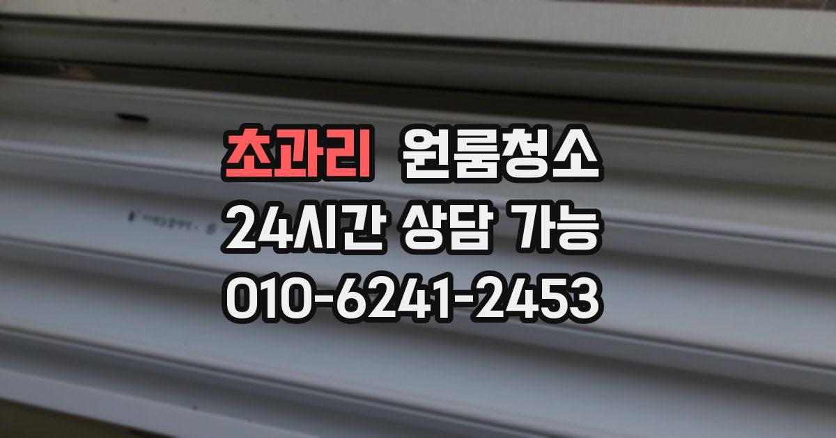 초과리 입주청소