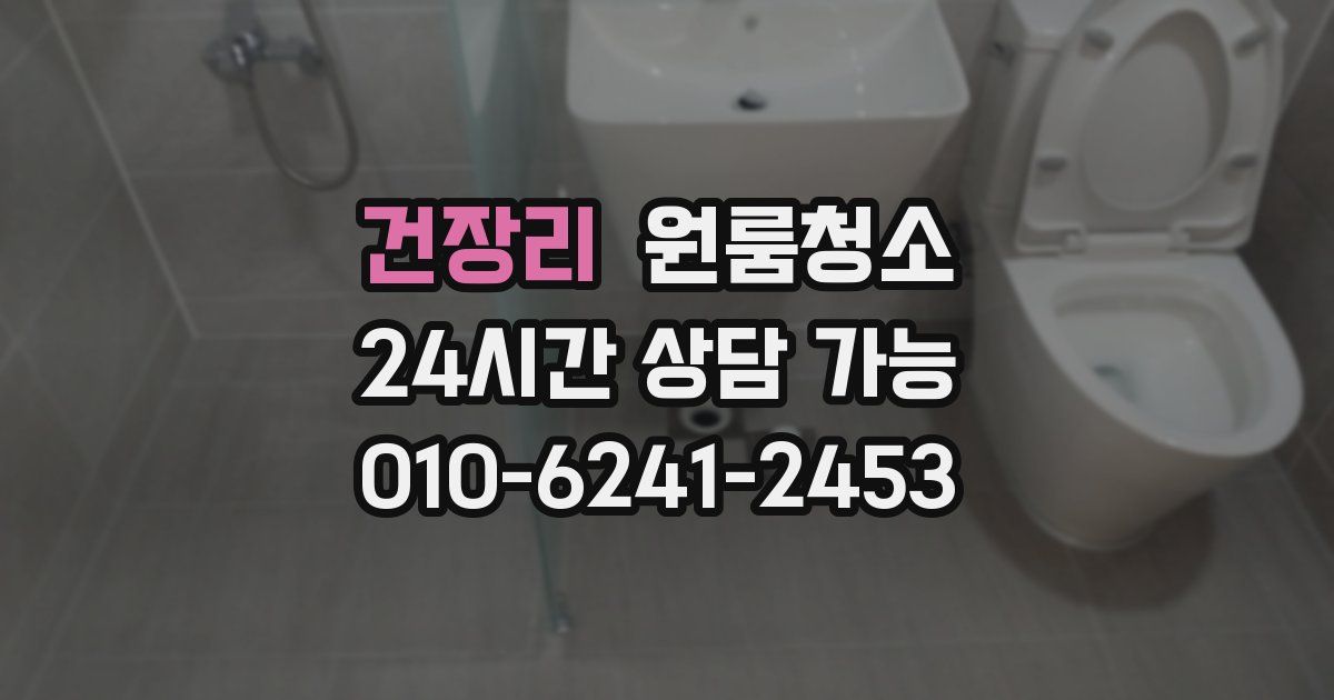 건장리 입주청소