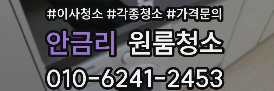 안금리 이사청소