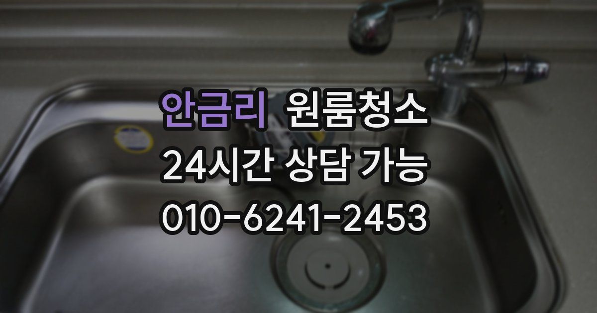 안금리 입주청소