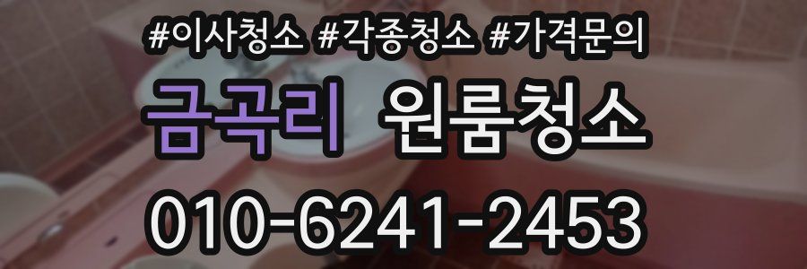 금곡리 이사청소