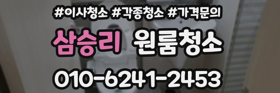 삼승리 이사청소