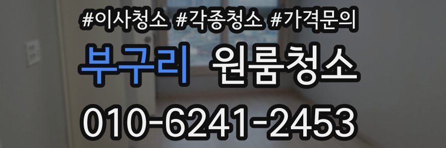 부구리 이사청소