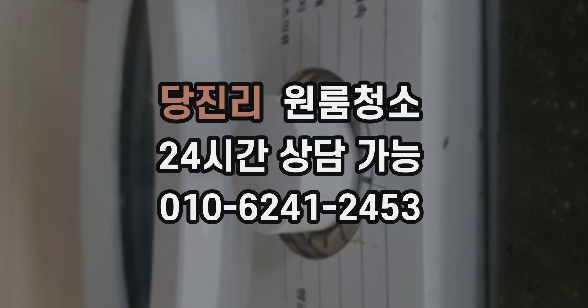 당진리 입주청소