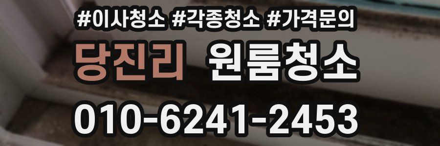 당진리 이사청소