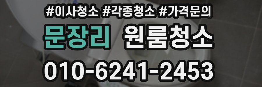 문장리 이사청소