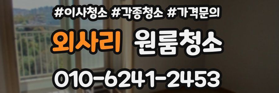 외사리 이사청소