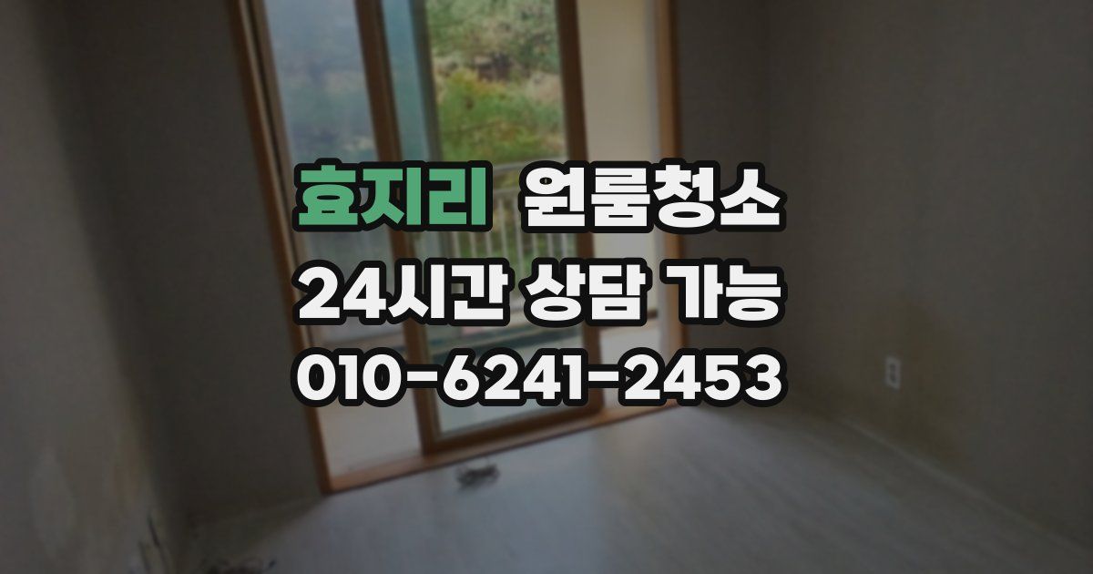 효지리 입주청소