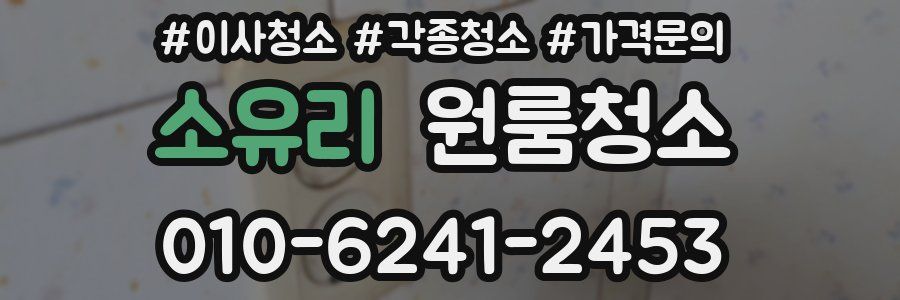 소유리 이사청소